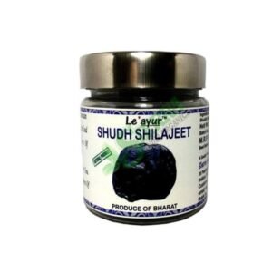 Leayur Shuddh Shilajeet Cubes